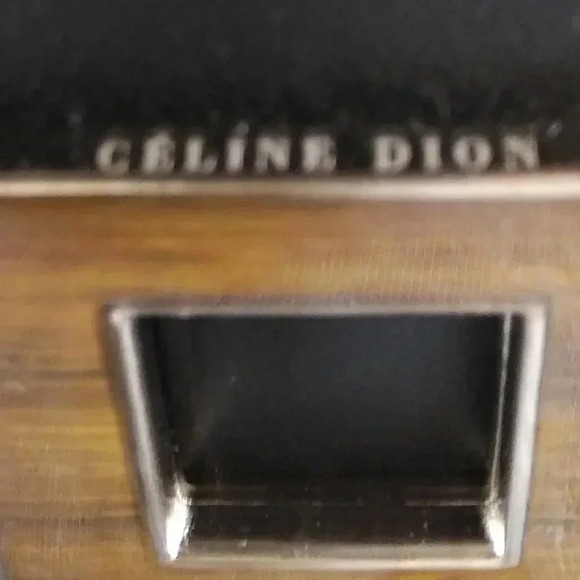 CELINE  DION | Siempre Crossbody, Shoulder, Clutch Bag - Picture 9 of 15